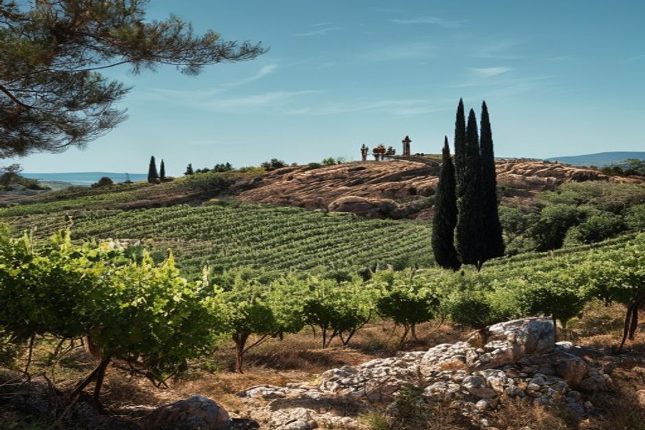 Domaine des Collines