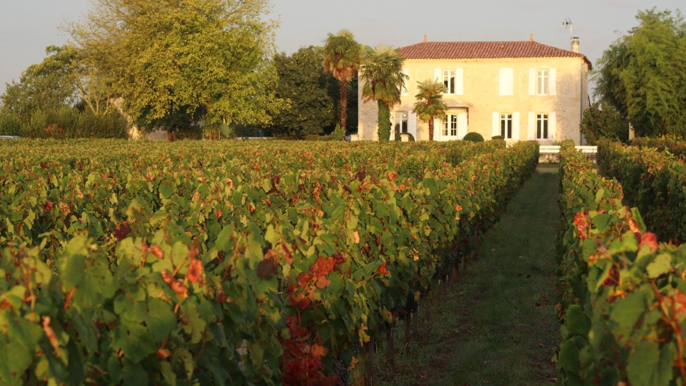 CHATEAU DE CAGNAC
