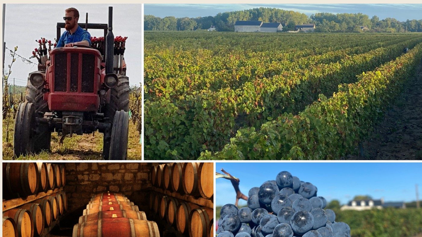 DOMAINE DES GALUCHES